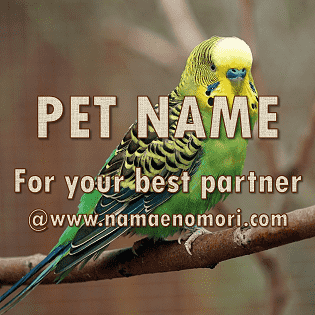 鳥の名前を名付け支援 インコ 文鳥 ヨウム オウム ペット名付け なまえの森