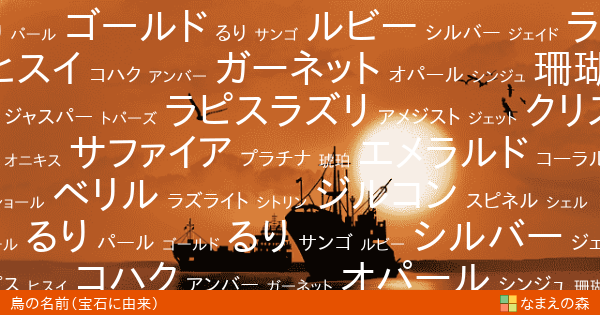 宝石に由来する鳥の名前 ペット名付け なまえの森