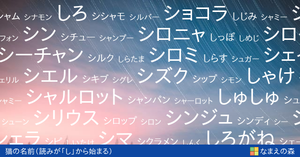 読みが し から始まる猫の名前 女の子 ペット名付け なまえの森