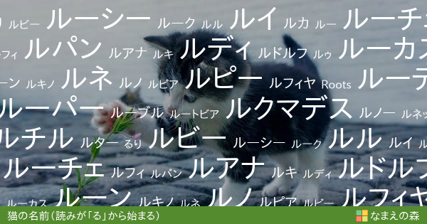 読みが る から始まる猫の名前 男の子 ペット名付け なまえの森
