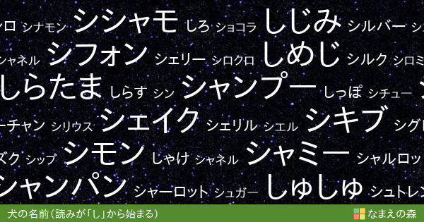 読みが し から始まる犬の名前 女の子 ペット名付け なまえの森