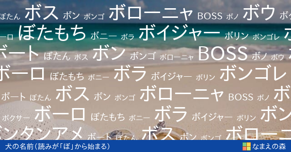 読みが ぼ から始まる犬の名前 女の子 ペット名付け なまえの森