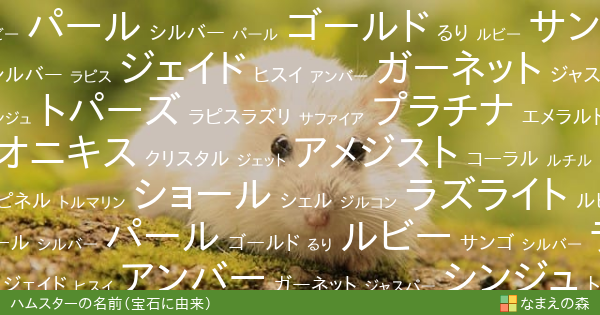 宝石に由来するハムスターの名前 男の子 ペット名付け なまえの森